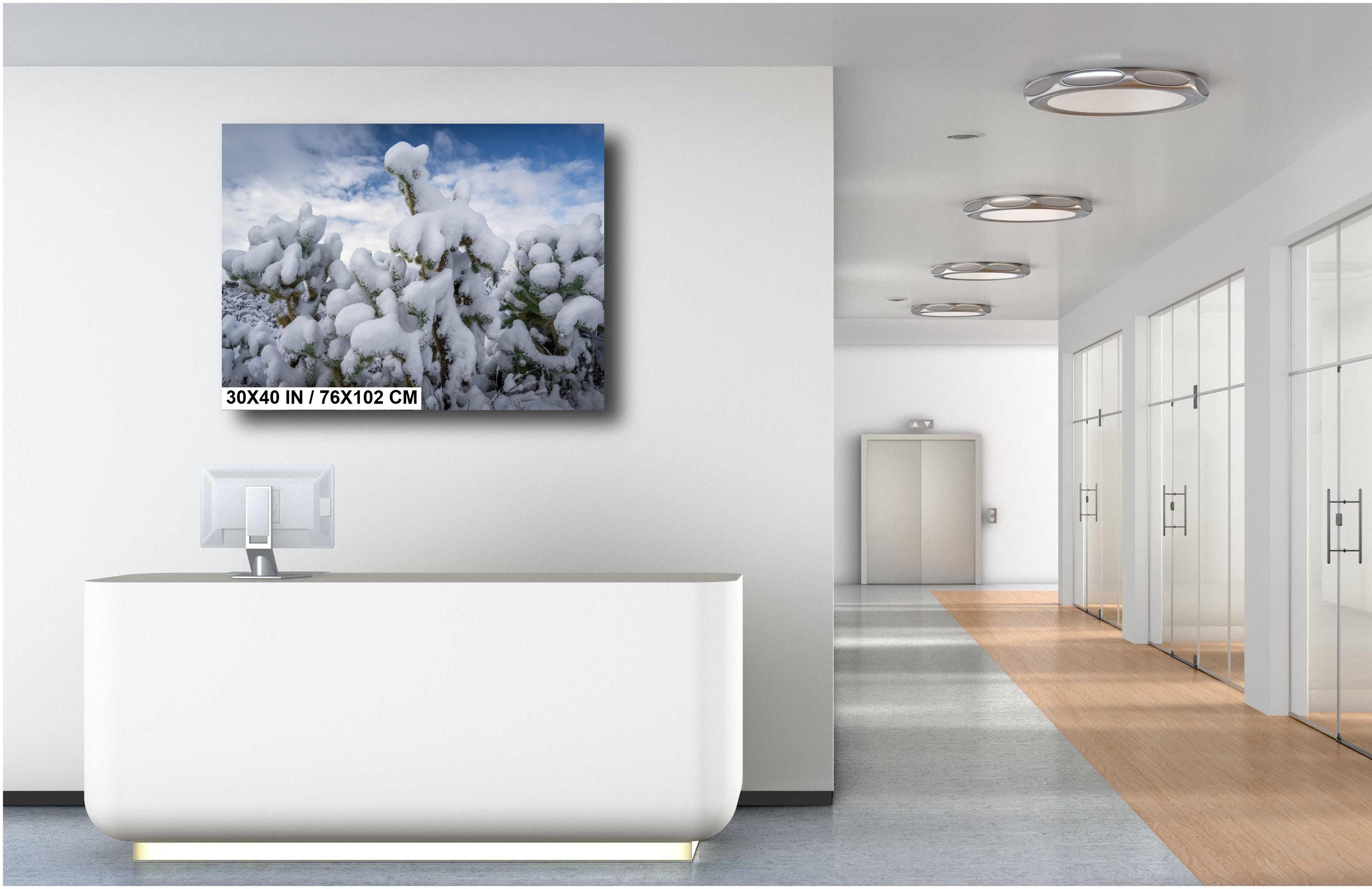 Saguaro Cactus Photography: Black and White Desert Wall Art