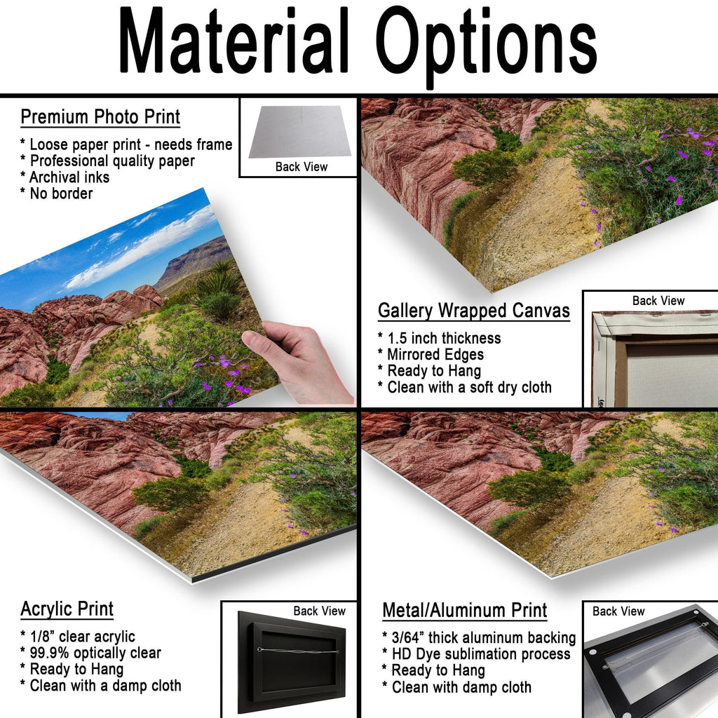 Wildflower Trail: Red Rock Canyon Las Vegas Nevada Photography Wall Art