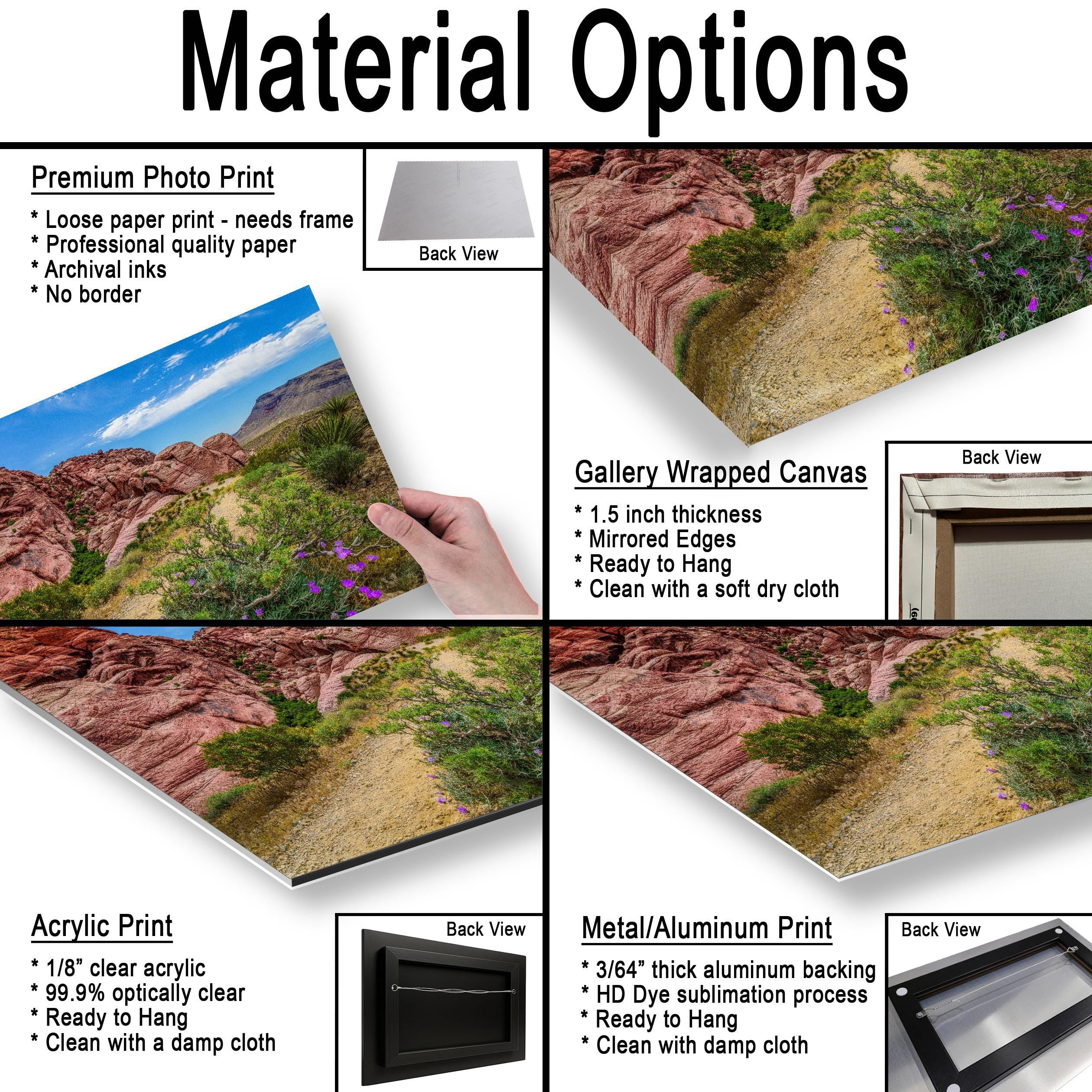 Wildflower Trail: Red Rock Canyon Las Vegas Nevada Photography Wall Art