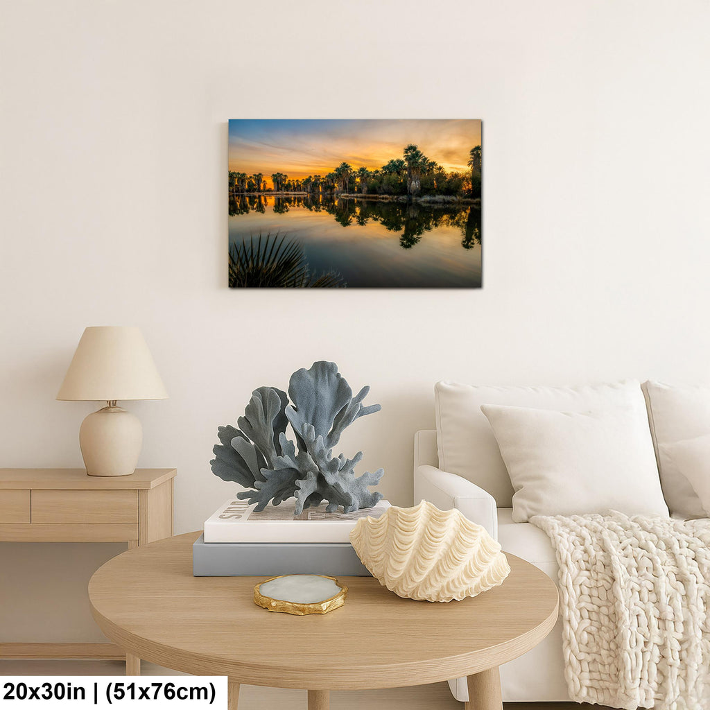 Agua Caliente Park Sunset Palm Oasis Reflection - Tucson Arizona Photography Print