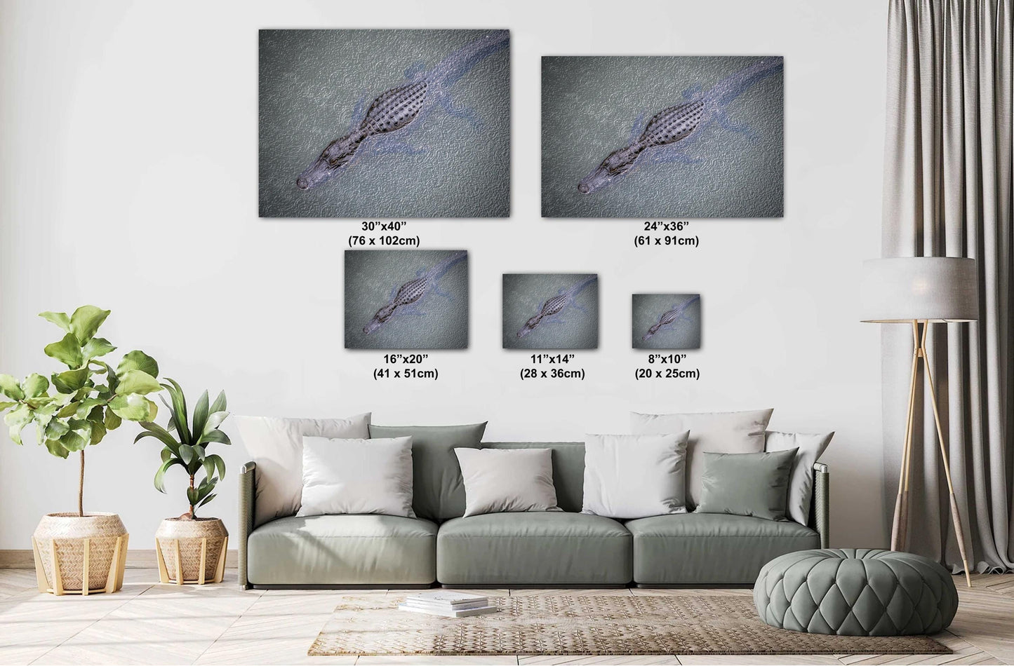 Eyes of the Everglades: Above an Alligator During Light Rain in Everglades National Park Florida Print Wall Art Aluminum/Metal/Canvas