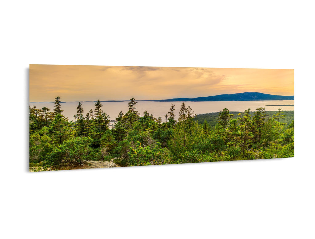 Coastal Overlook: Schoodic Peninsula Acadia National Park ME Photo Wall Art