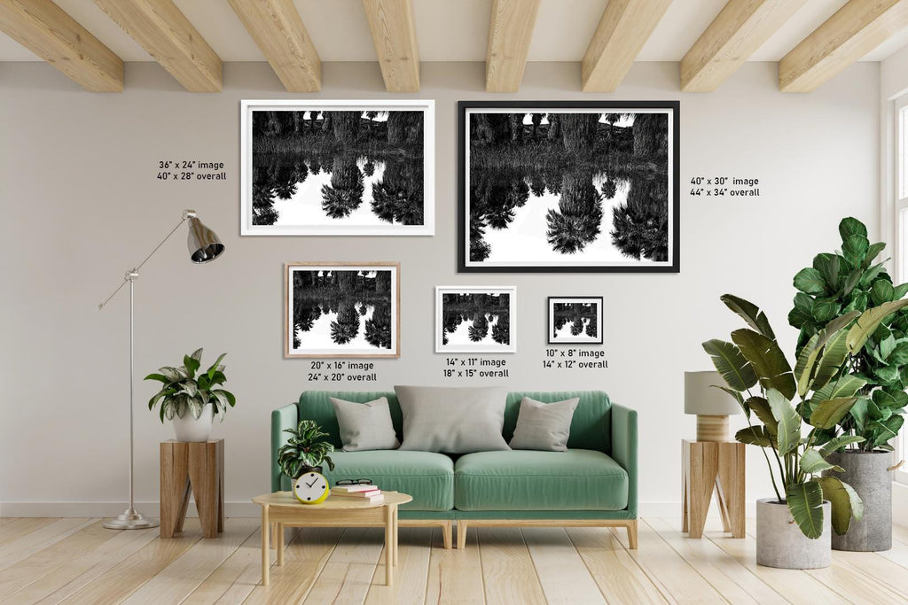 Palm Reflections: Coachella Valley Preserve CA Black White Photo Wall Art