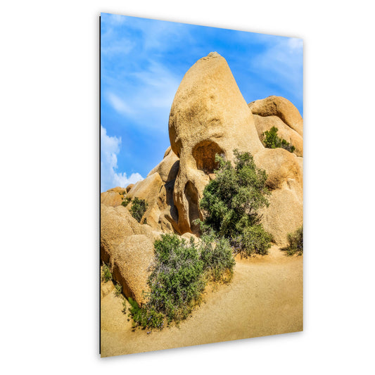 Skull Rock Joshua Tree National Park Photography Print, California Desert Landscape, Unique Rock Formation Wall Art