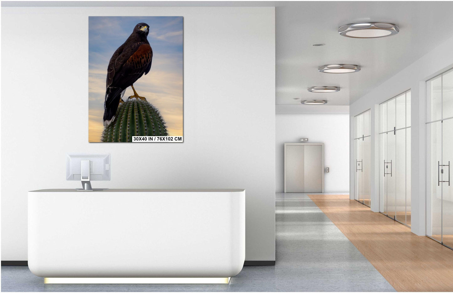 Harris's Hawk Sunset Print: Arizona Desert Bird Photography, Saguaro Cactus Wall Art
