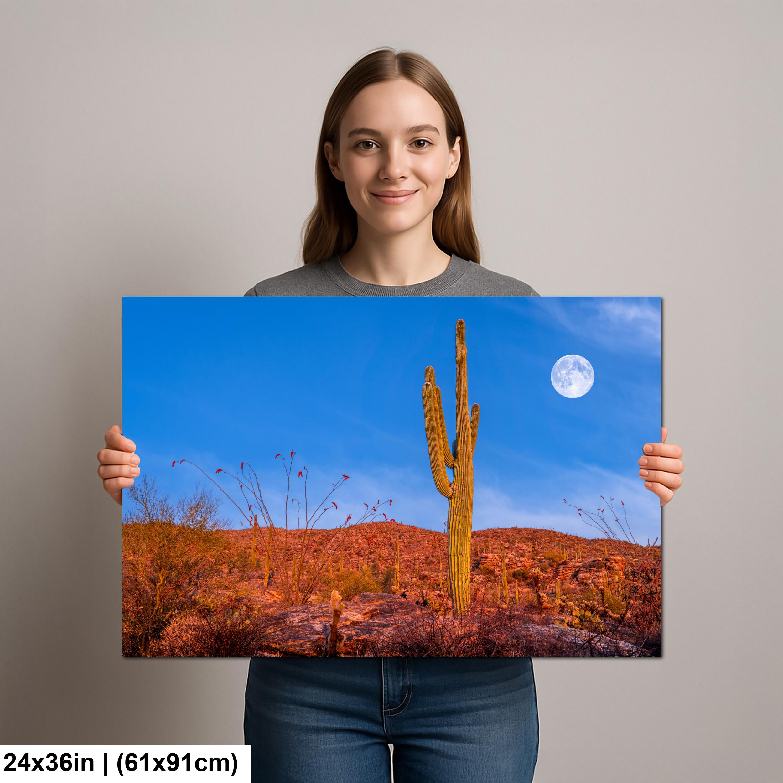 Sonoran Desert Full Moon with Saguaro Cactus Tucson Arizona Photography Print