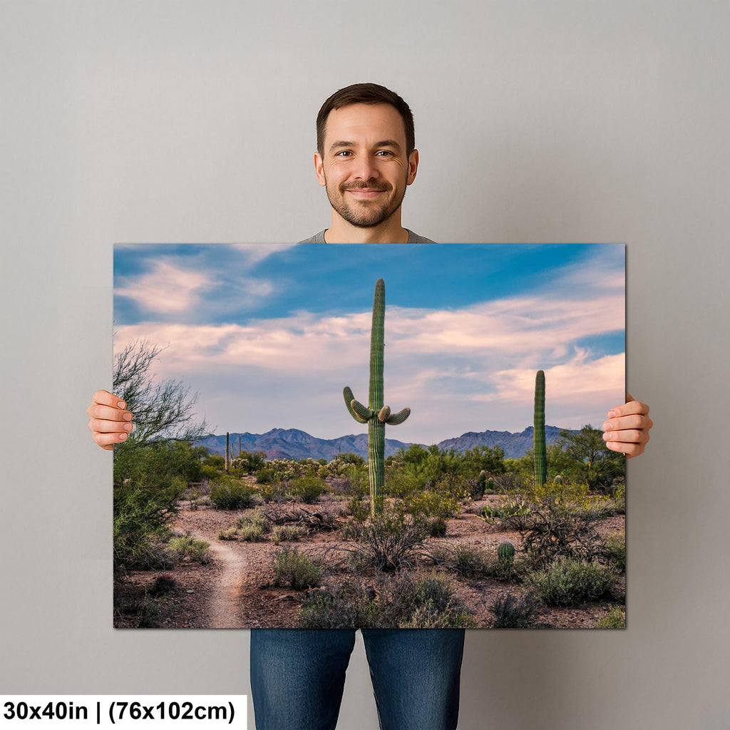 Pastel Sky Over Saguaro Cactus Trail Photography Print, Tucson Arizona Desert Landscape, Southwest Wall Art Decor
