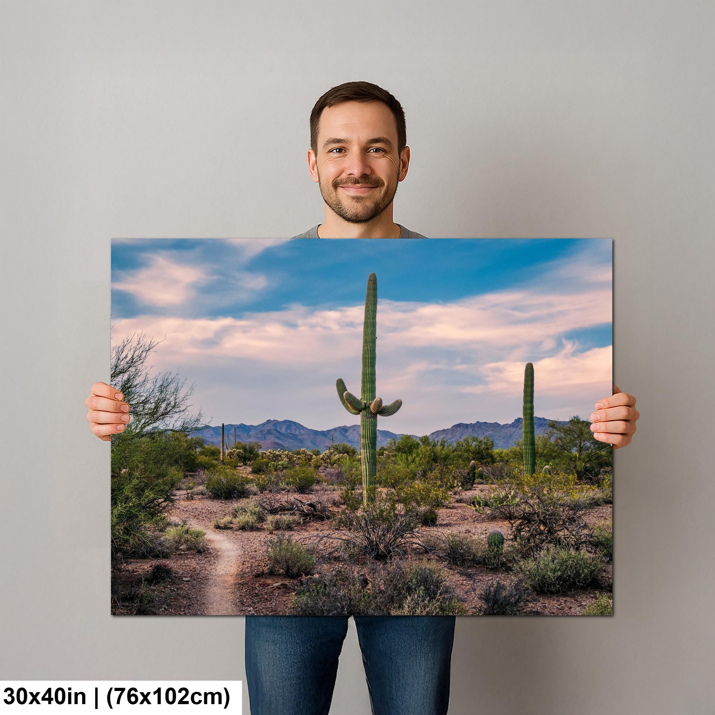 Pastel Sky Over Saguaro Cactus Trail Photography Print, Tucson Arizona Desert Landscape, Southwest Wall Art Decor