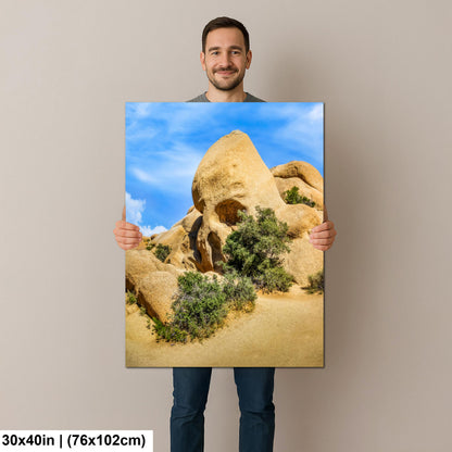 Skull Rock Joshua Tree National Park Photography Print, California Desert Landscape, Unique Rock Formation Wall Art