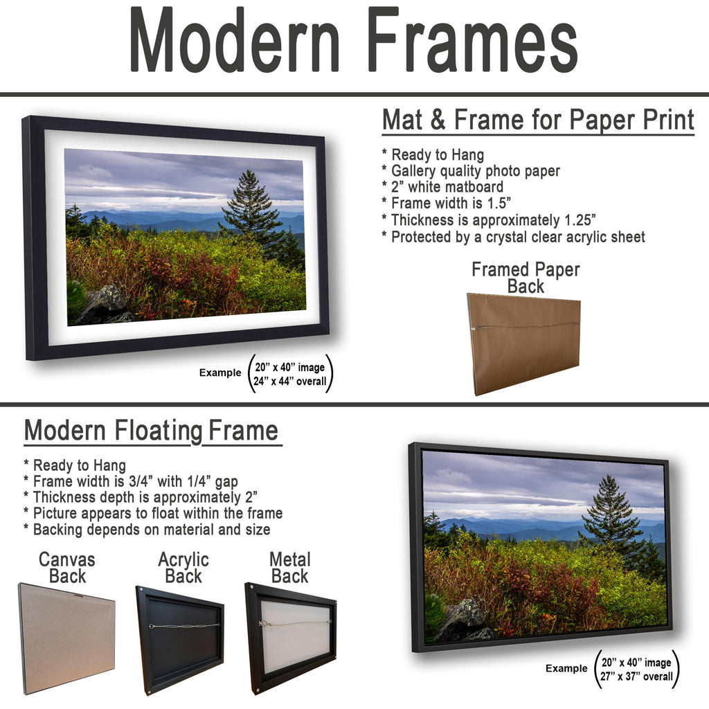 Autumn's Edge: Great Smoky Mountains Tennessee Nature Photography Wall Art