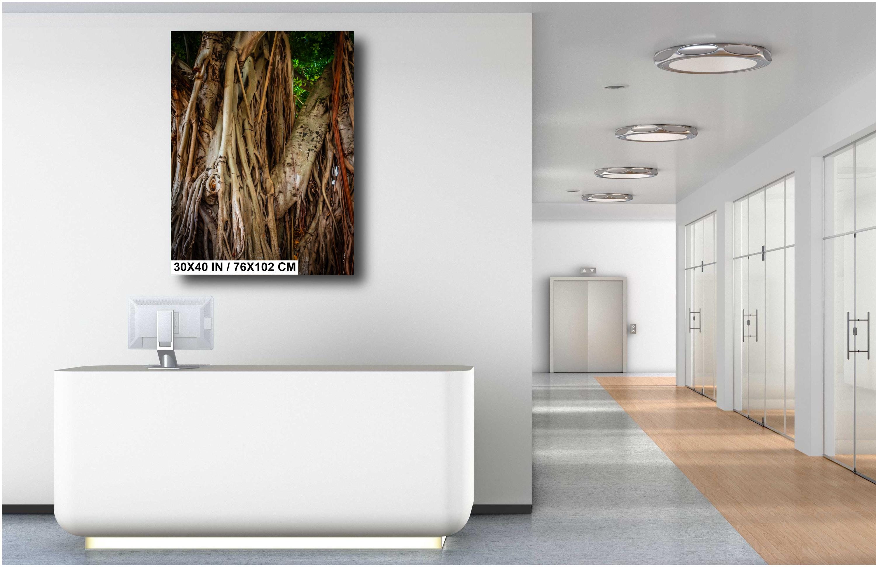 Miami Banyan Tree Closeup: A Tree Full of Life Bayside Florida Print Wall Art Nature Photography Aluminum/Acrylic/Metal/Canvas Home Decor