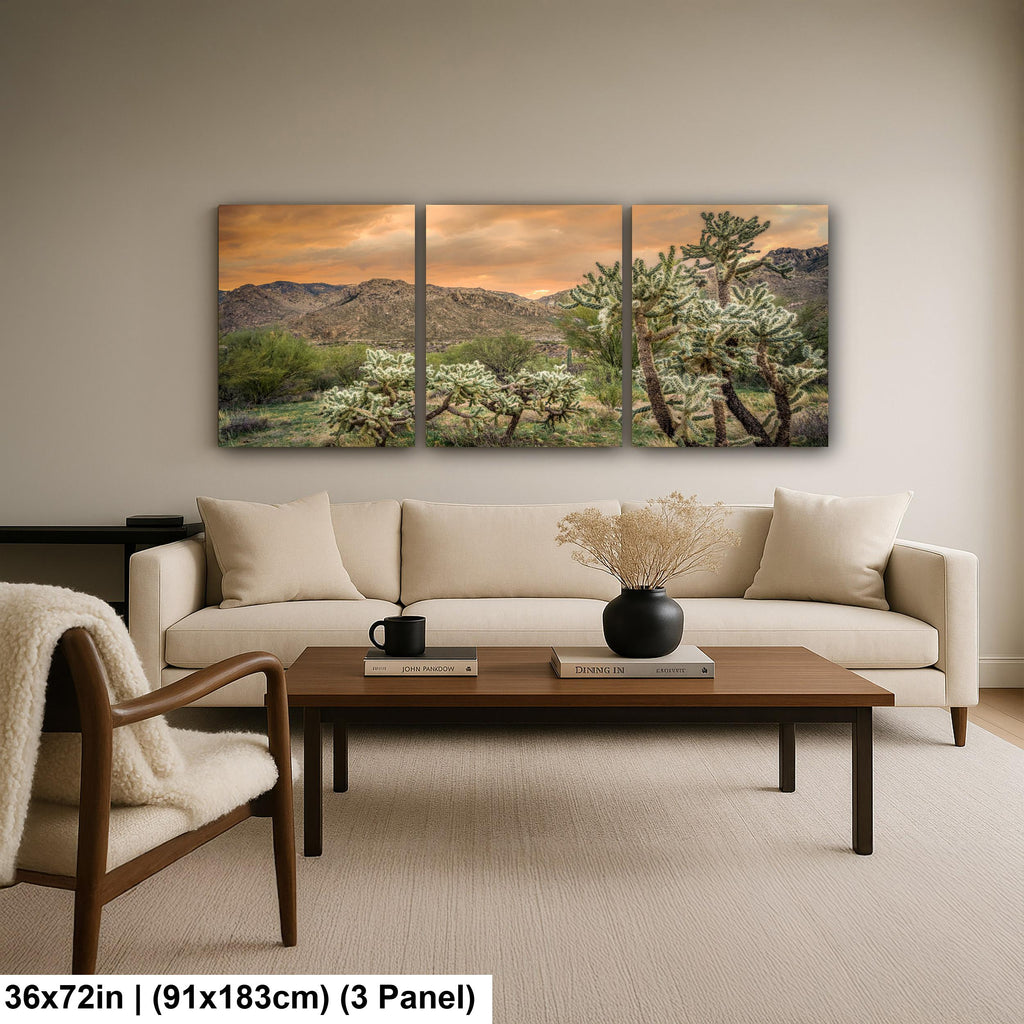 Cholla Cactus at Sunset in Catalina State Park Tucson Arizona Photography Print