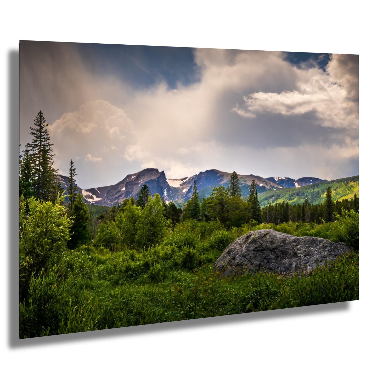 Rocky Mountain National Park View Through Lush Greenery Wall Art Print Colorado Nature Photography Aluminum/Acrylic/Metal/Canvas Home Decor