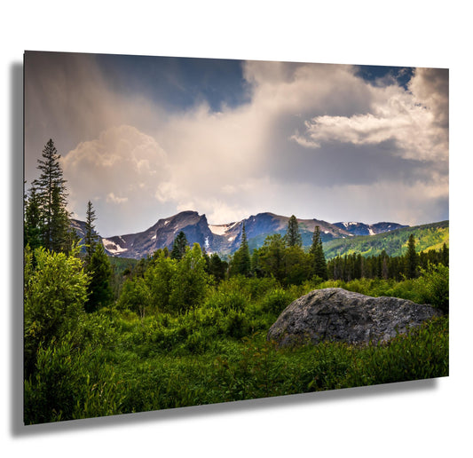 Rocky Mountain National Park View Through Lush Greenery Wall Art Print Colorado Nature Photography Aluminum/Acrylic/Metal/Canvas Home Decor