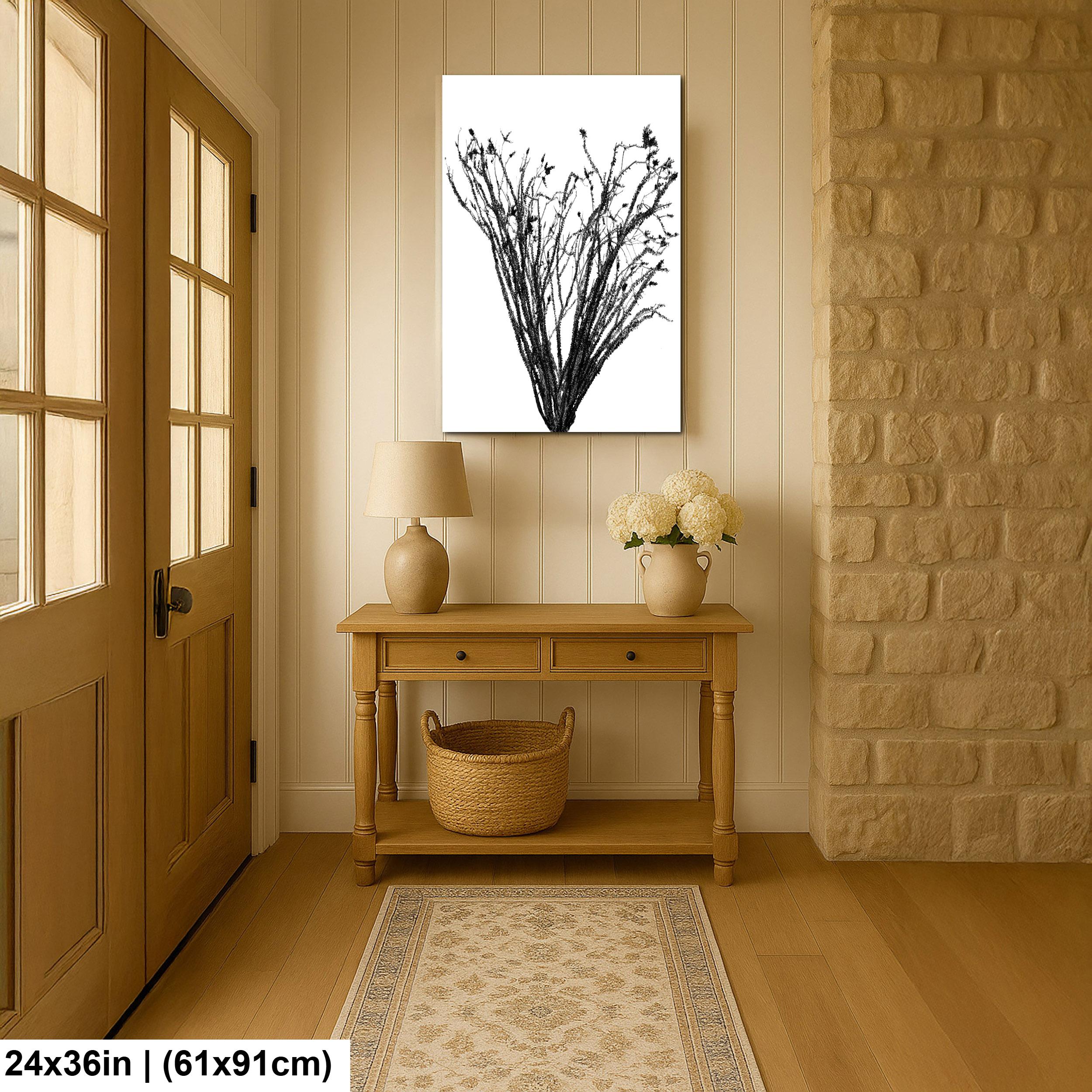 Ocotillo Cactus Silhouette Print: Black and White Desert Photography