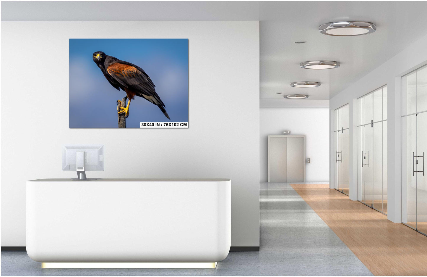 Modern office interior with a large wall art print displaying an image of Harris’s hawk on desert branch with saguaro and distant mountains