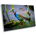 A vibrant photo of an American purple gallinule bird with blue plumage and yellow legs, perched on a lily pad in a watery environment. The image is presented in a landscape orientation and appears to be printed on high-quality photo paper or canvas.