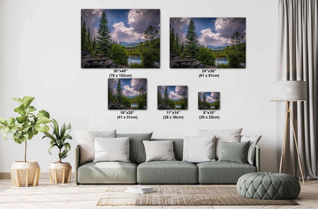 Rocky Mountain National Park Print: Colorado Cloud-Kissed Pines Photography