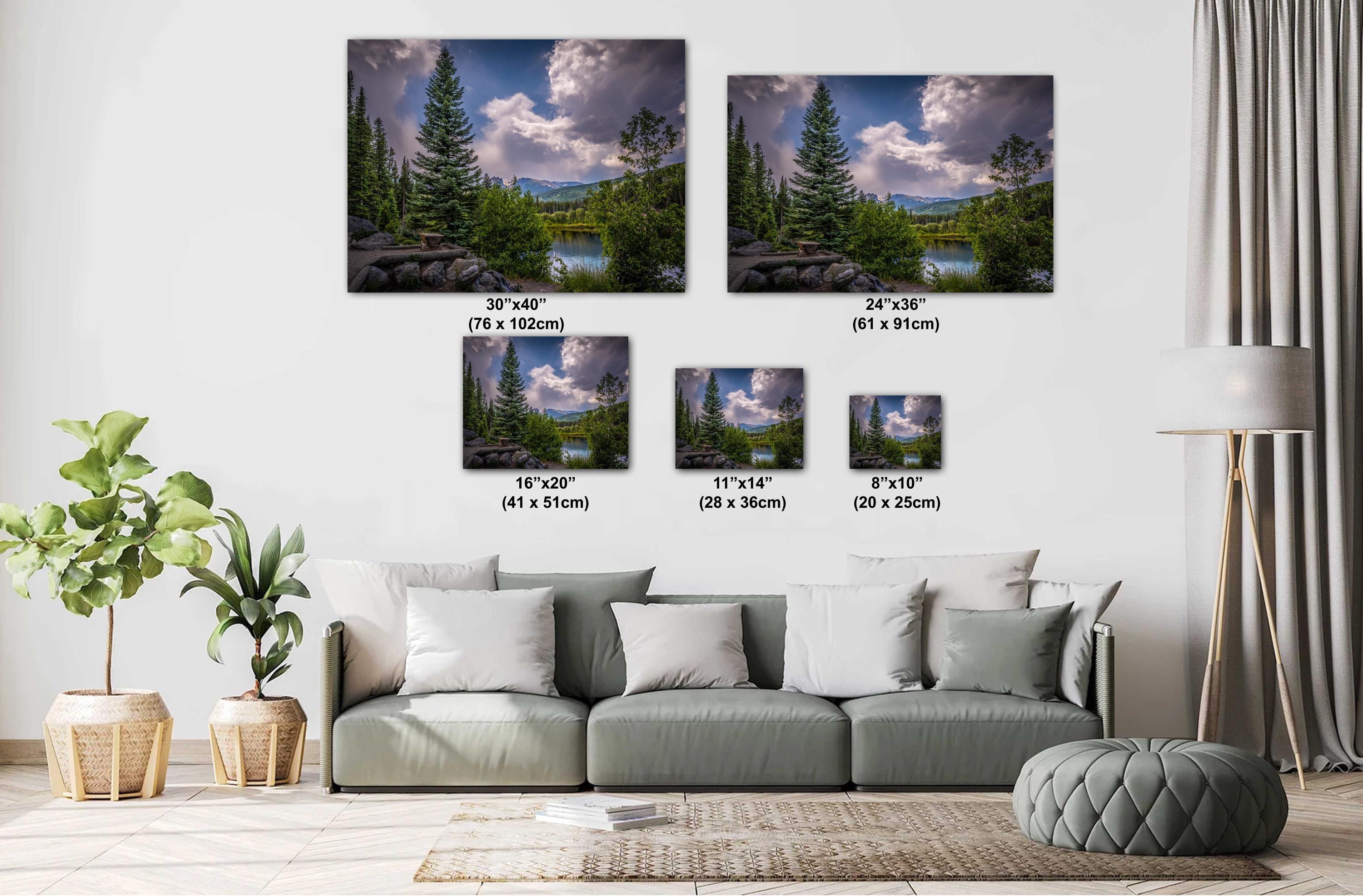 Rocky Mountain National Park Print: Colorado Cloud-Kissed Pines Photography