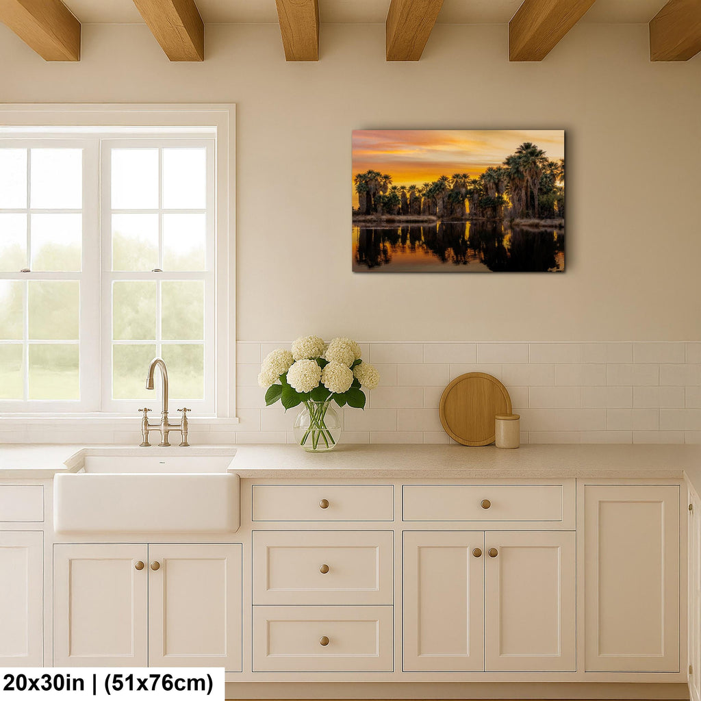 Agua Caliente Palm Grove Sunset Reflection - Tucson Arizona Photography Print