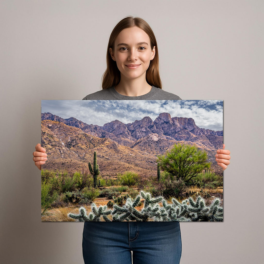 Rugged Desert Beauty Arizona Catalina Mountains Sonoran Landscape Photography Wall Art