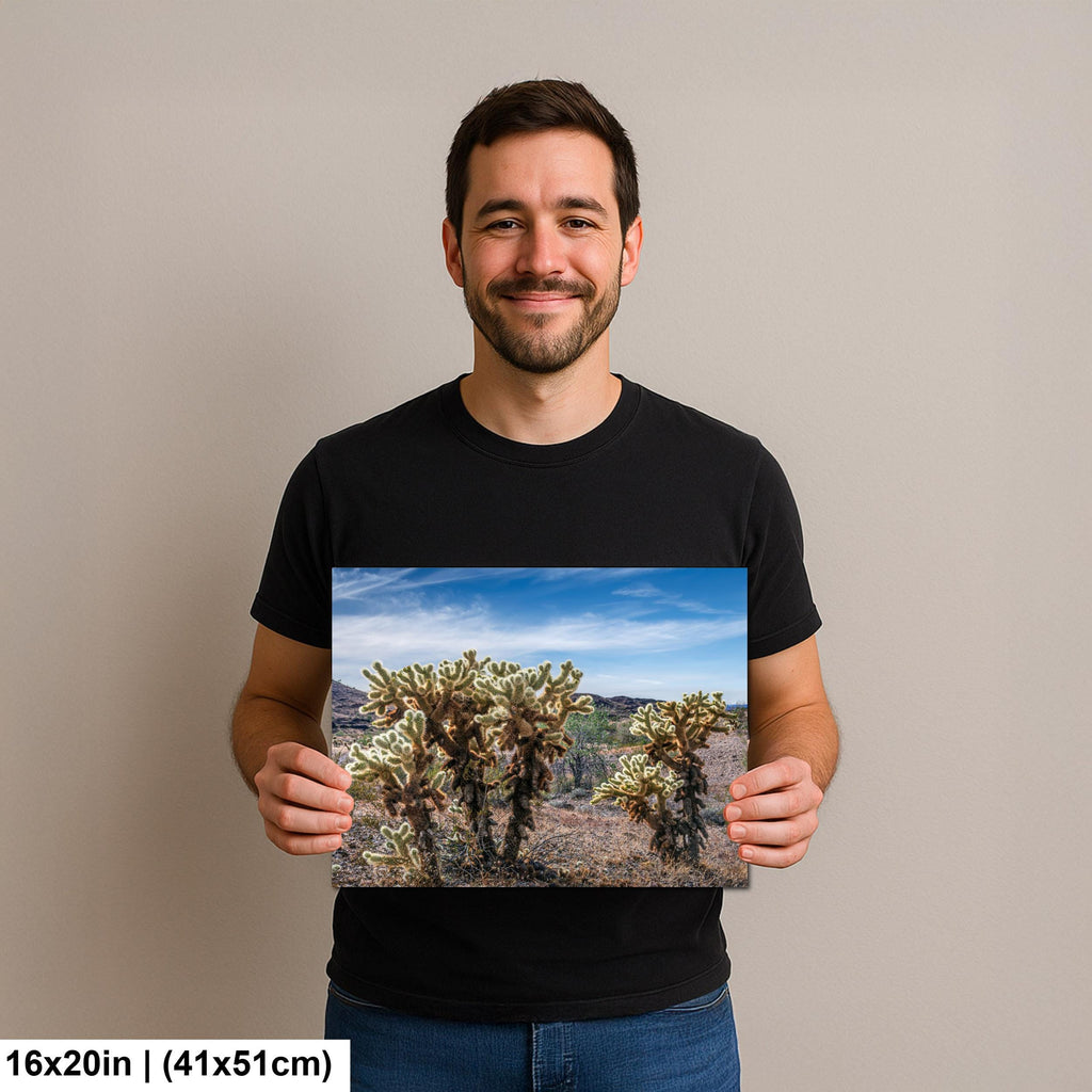 Teddy Bear Cholla Cactus Sonoran Desert Arizona Photography Print, Southwest Wall Art