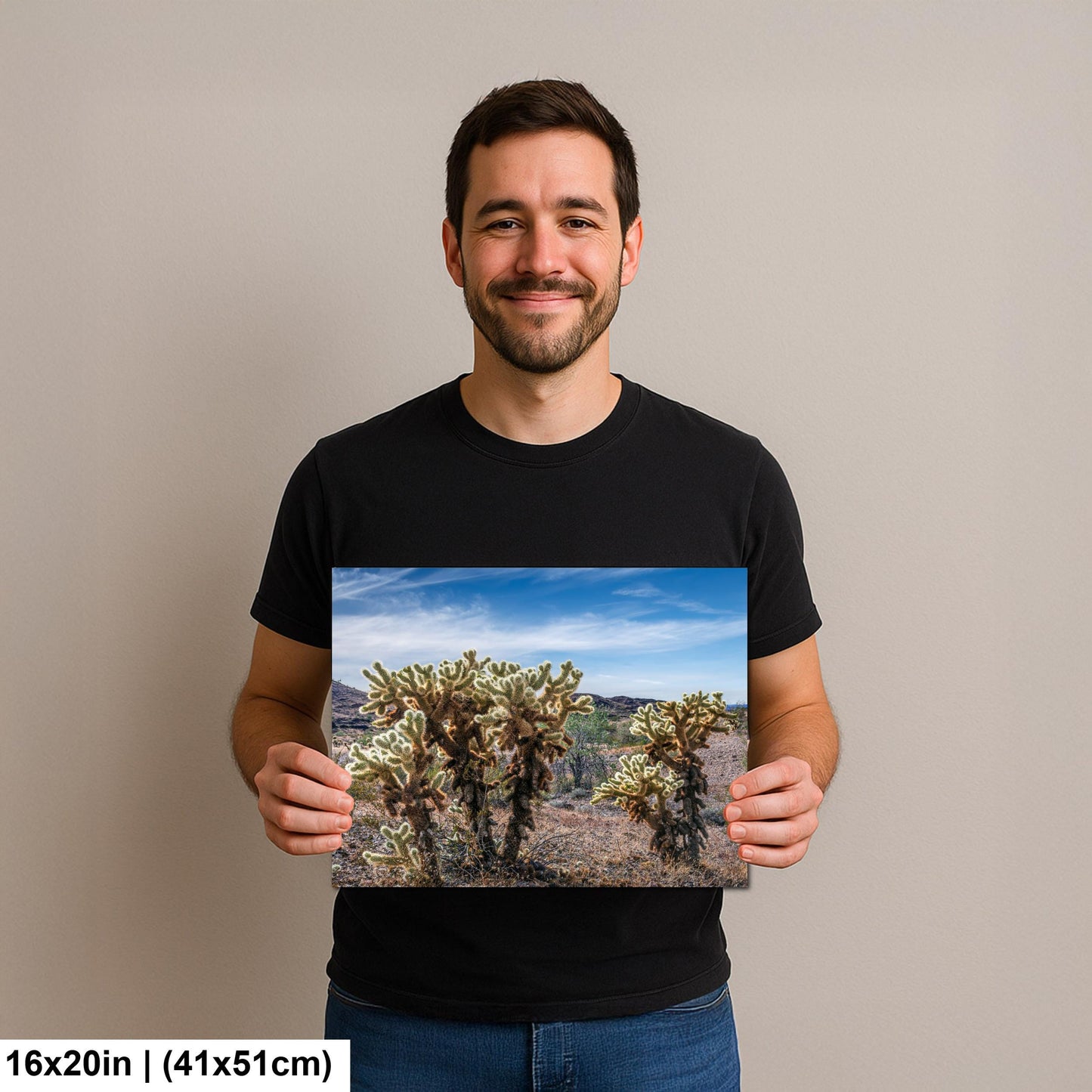 Teddy Bear Cholla Cactus Sonoran Desert Arizona Photography Print, Southwest Wall Art