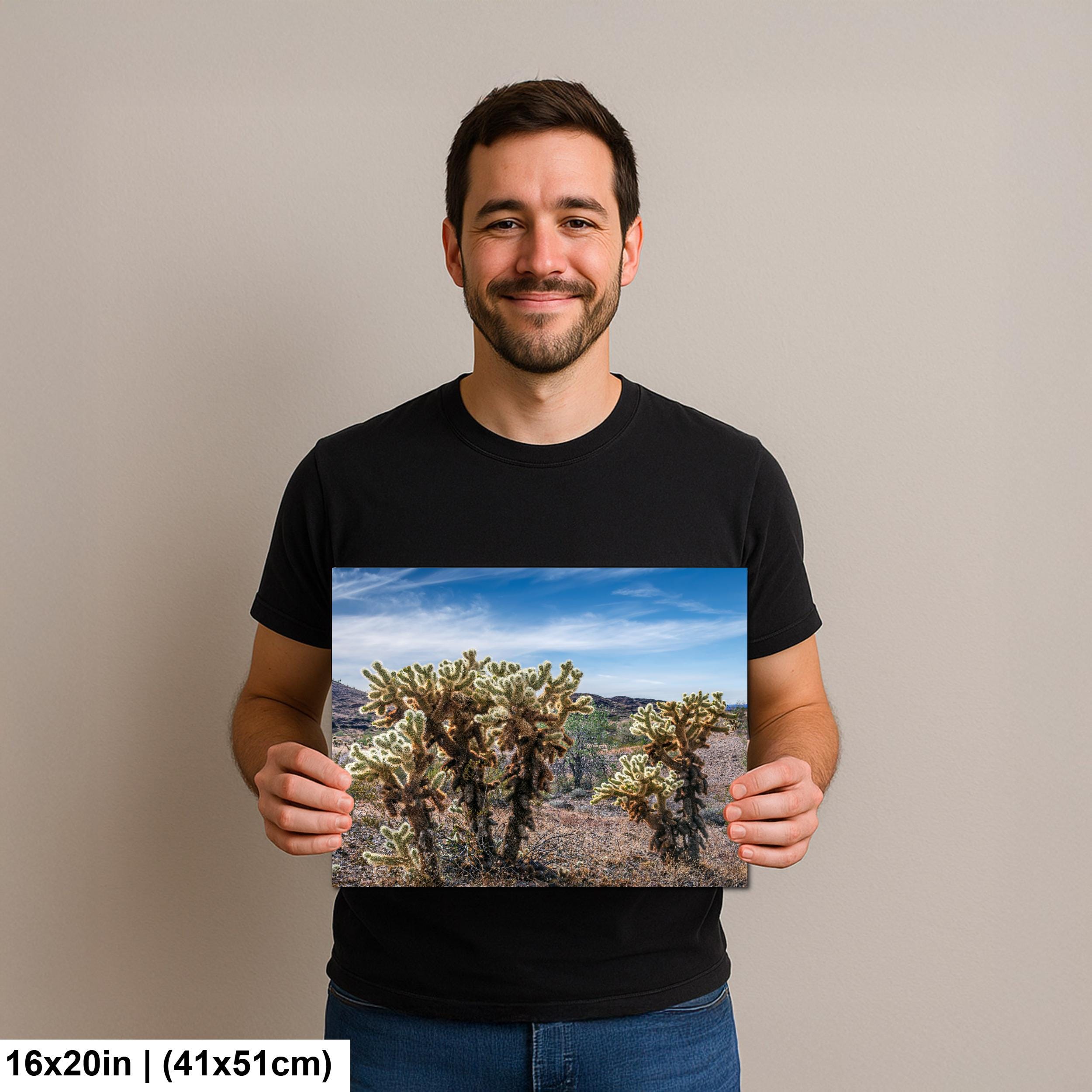 Teddy Bear Cholla Cactus Sonoran Desert Arizona Photography Print, Southwest Wall Art