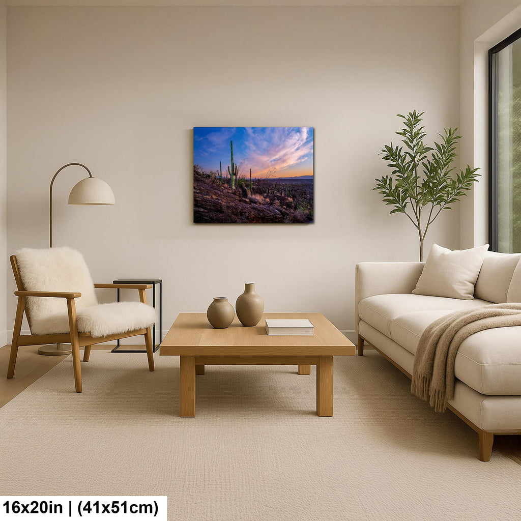 Rocky Sonoran Desert Hillside Sunset with Saguaros - Saguaro National Park East Tucson Photography Print