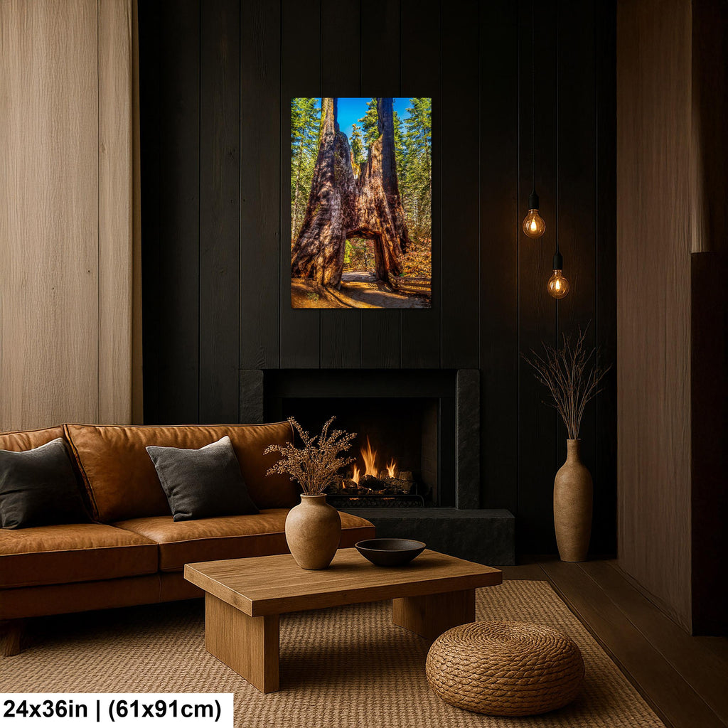 Giant Gateway: Tuolumne Grove Yosemite National Park Photography Wall Art
