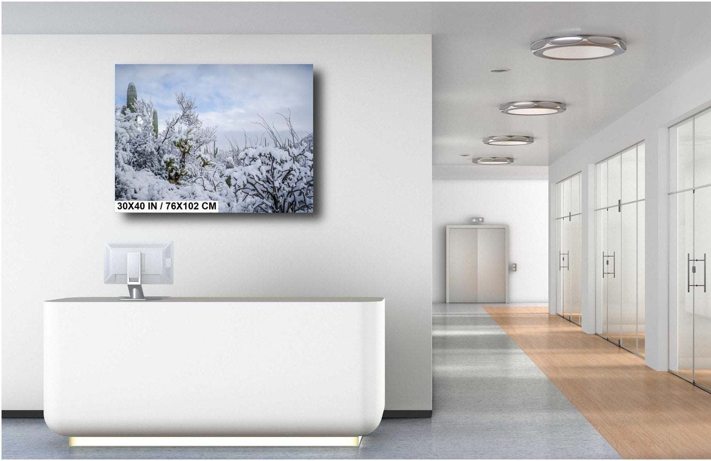 Saguaro National Park Print – Snow Covered Cacti Art | Desert Wall Art Canvas