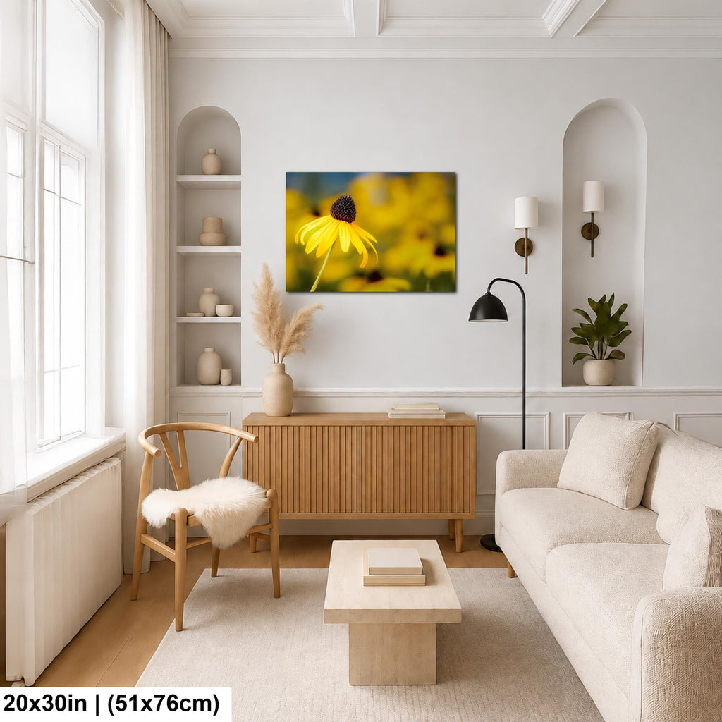 Sunlit Petals: Black-Eyed Susans Yellow Floral Photography Wall Art