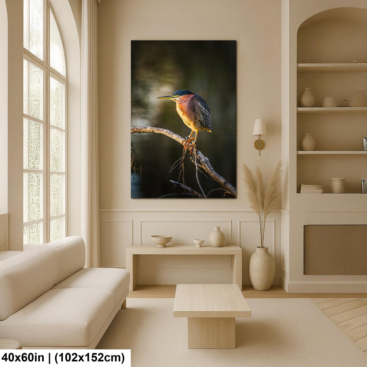 Green Heron Photography Print, Agua Caliente Park Tucson Arizona, Bird Wall Art, Nature Home Decor, Wildlife Gift