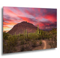 Fiery Desert Sunset with Saguaros, Tucson Arizona Photography Print, Southwest Wall Art, Dramatic Sky Decor