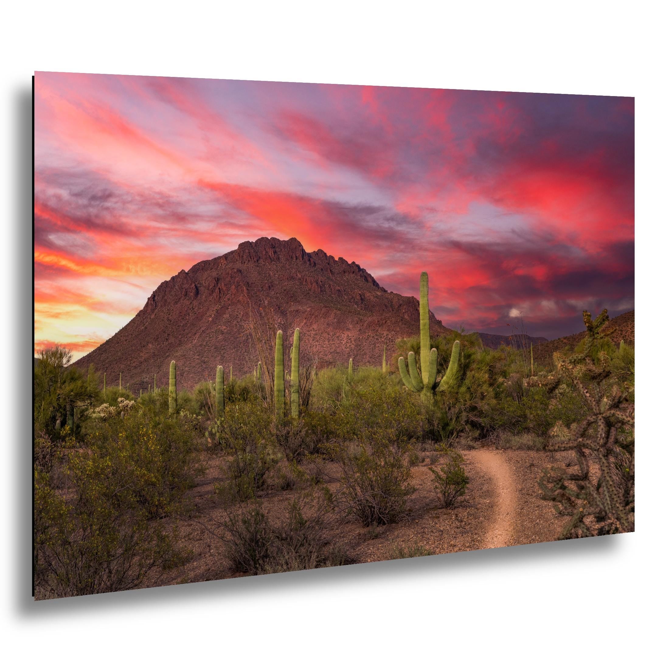 Fiery Desert Sunset with Saguaros, Tucson Arizona Photography Print, Southwest Wall Art, Dramatic Sky Decor