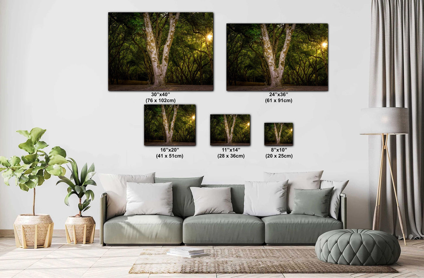 Oregon Forest Sunburst V-Trunk Tree Wall Art Photography Print, Woodland Light Rays Nature Canvas Wall Art, Pacific Northwest Metal Fine Art