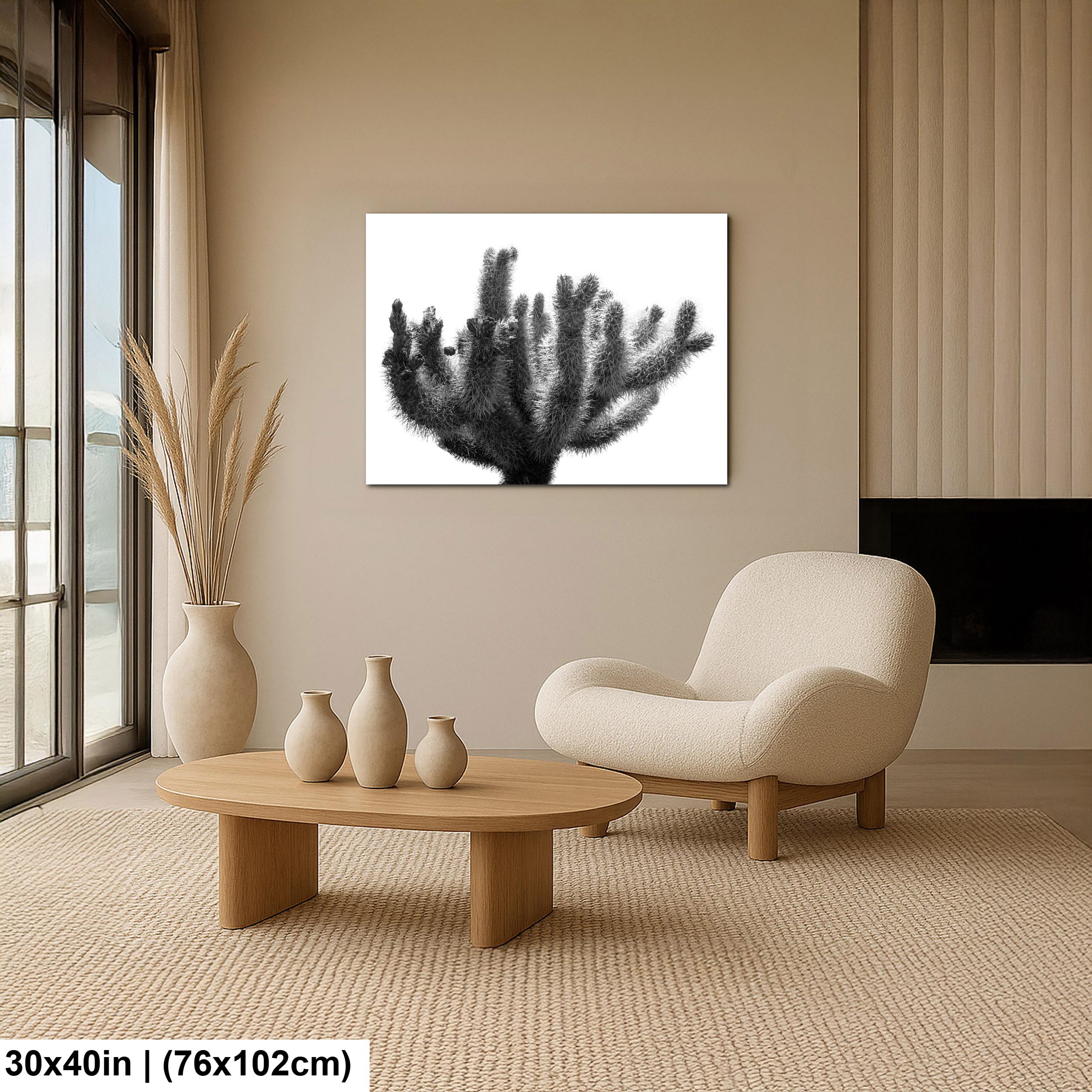Joshua Tree Cholla Cactus Print: Black and White Desert Photography