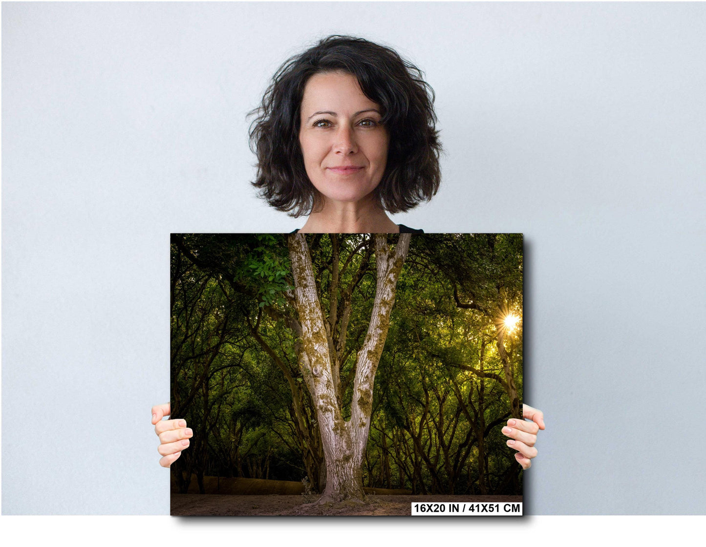 Oregon Forest Sunburst V-Trunk Tree Wall Art Photography Print, Woodland Light Rays Nature Canvas Wall Art, Pacific Northwest Metal Fine Art