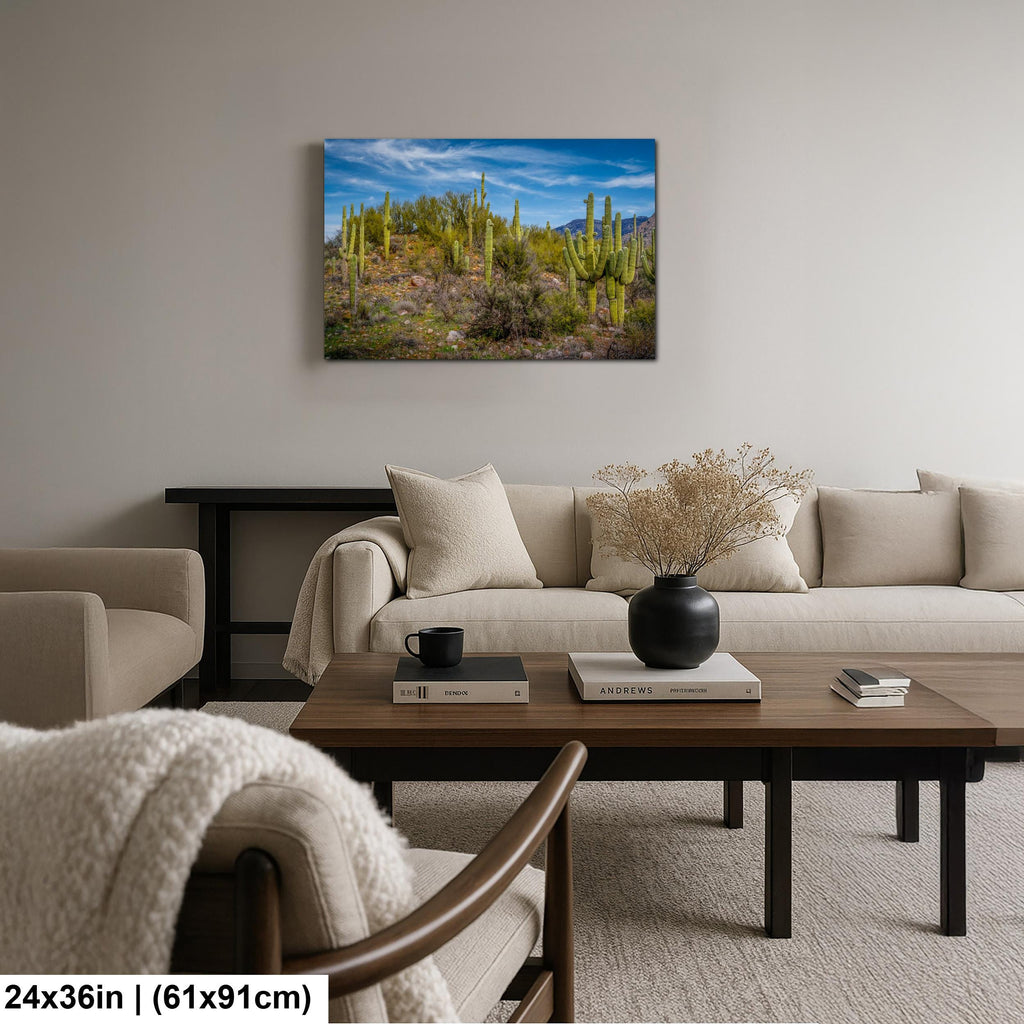 Sonoran Desert Hillside with Saguaros - Catalina State Park Tucson Arizona Photography Print