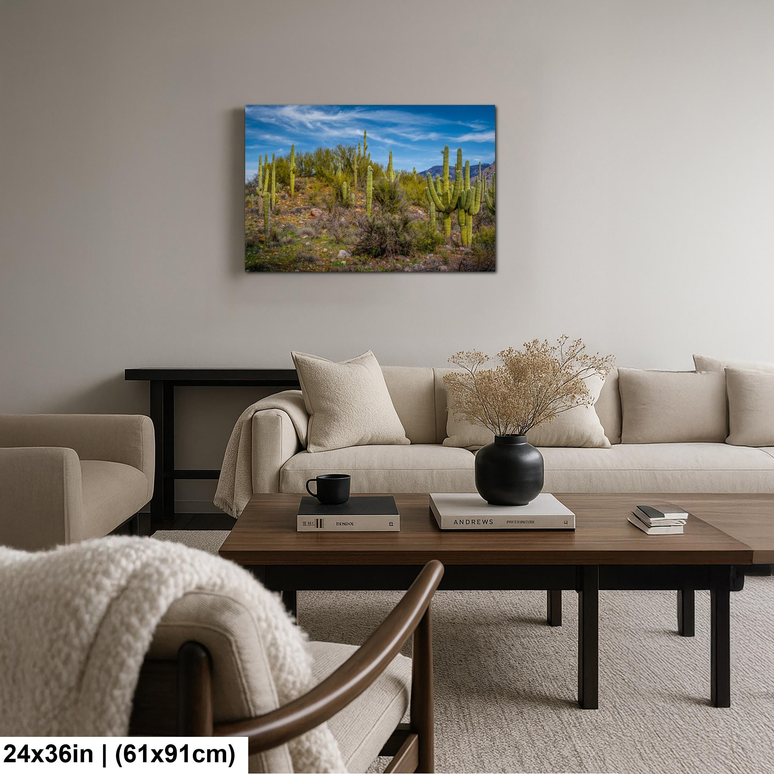 Sonoran Desert Hillside with Saguaros - Catalina State Park Tucson Arizona Photography Print