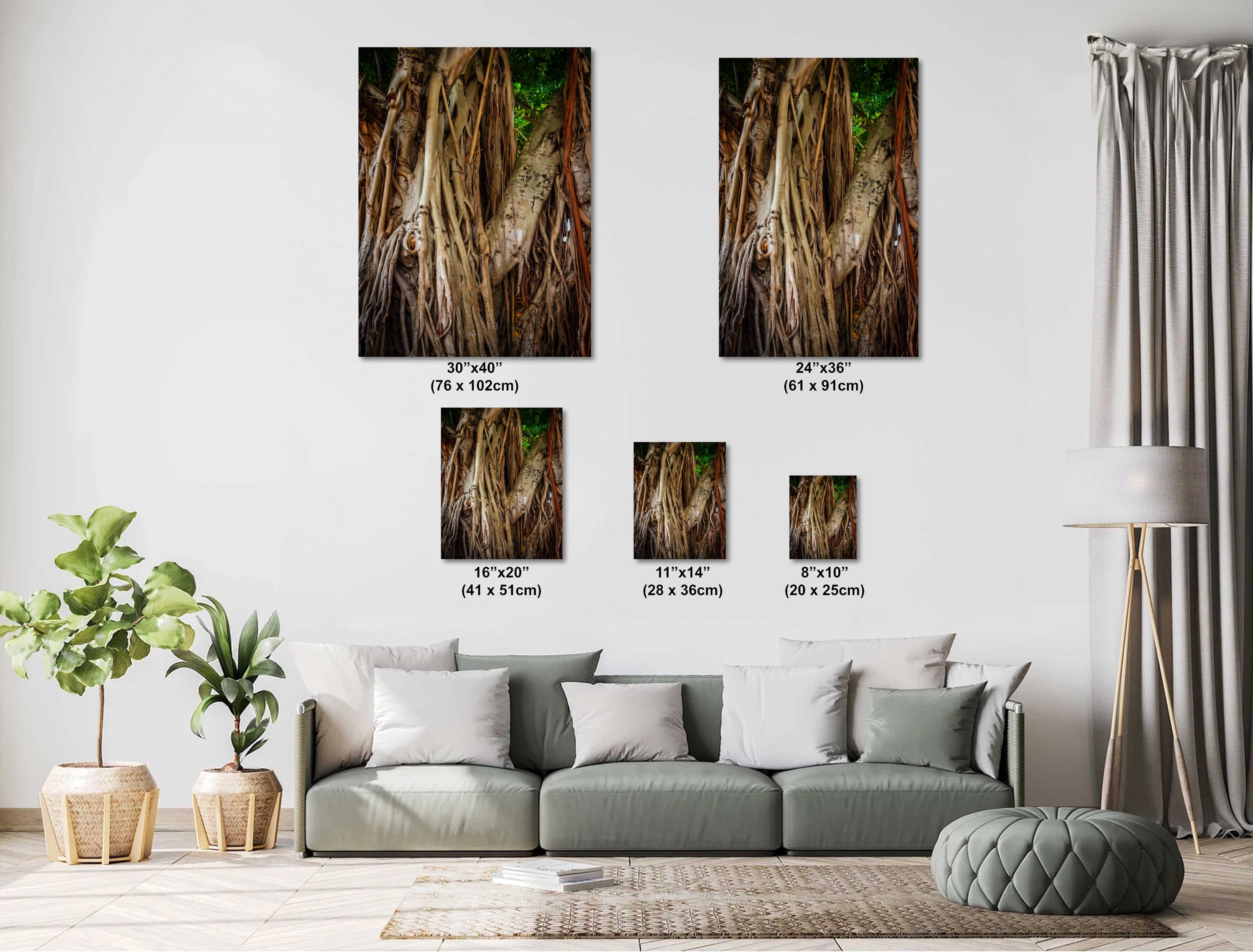 Miami Banyan Tree Closeup: A Tree Full of Life Bayside Florida Print Wall Art Nature Photography Aluminum/Acrylic/Metal/Canvas Home Decor