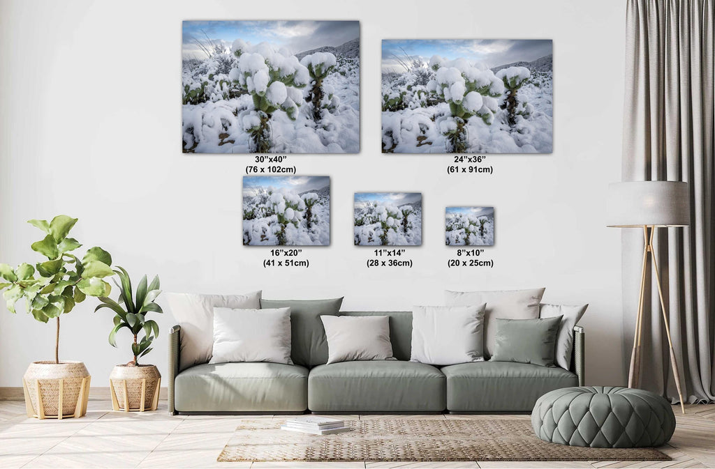 Snowy Cactus Wonderland Print: Arizona Winter Desert Photography
