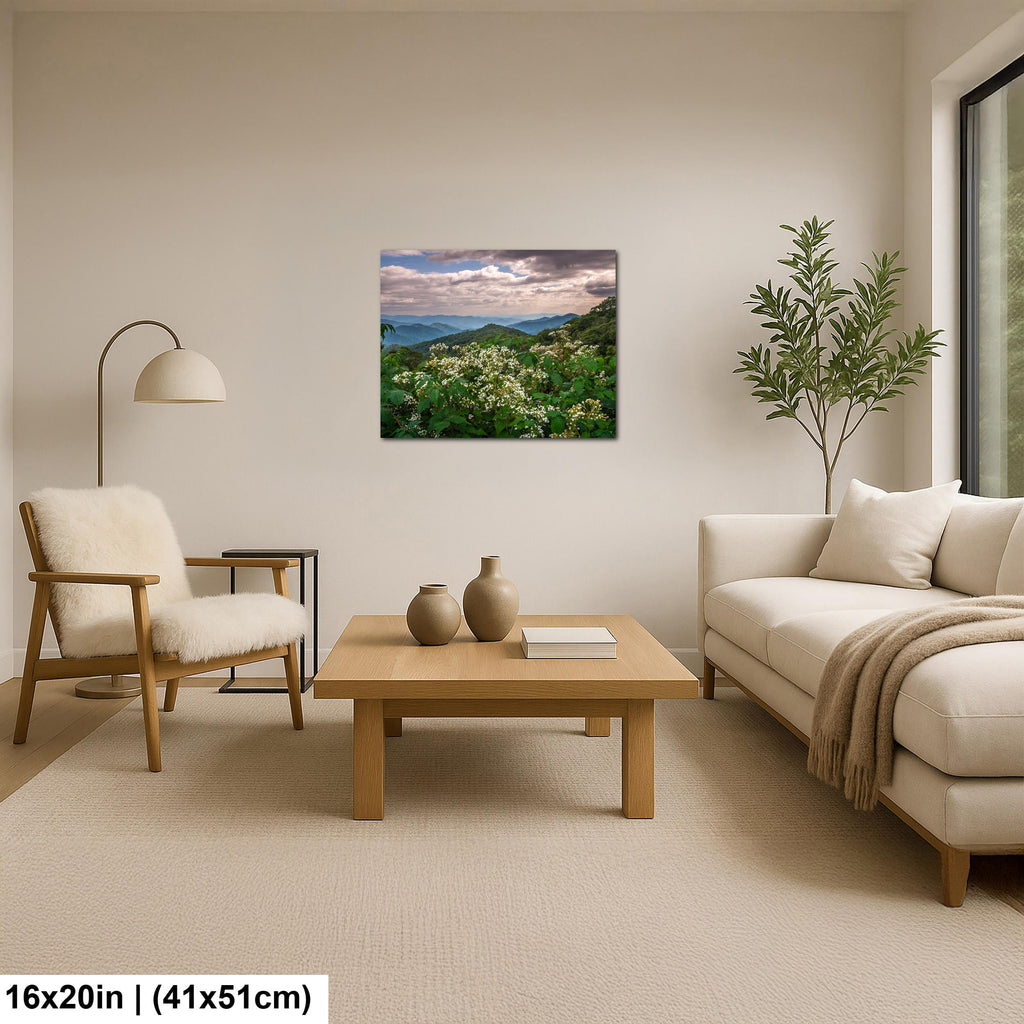 Mountain Meadow: Wildflowers Great Smoky Mountains Tennessee Photo Wall Art