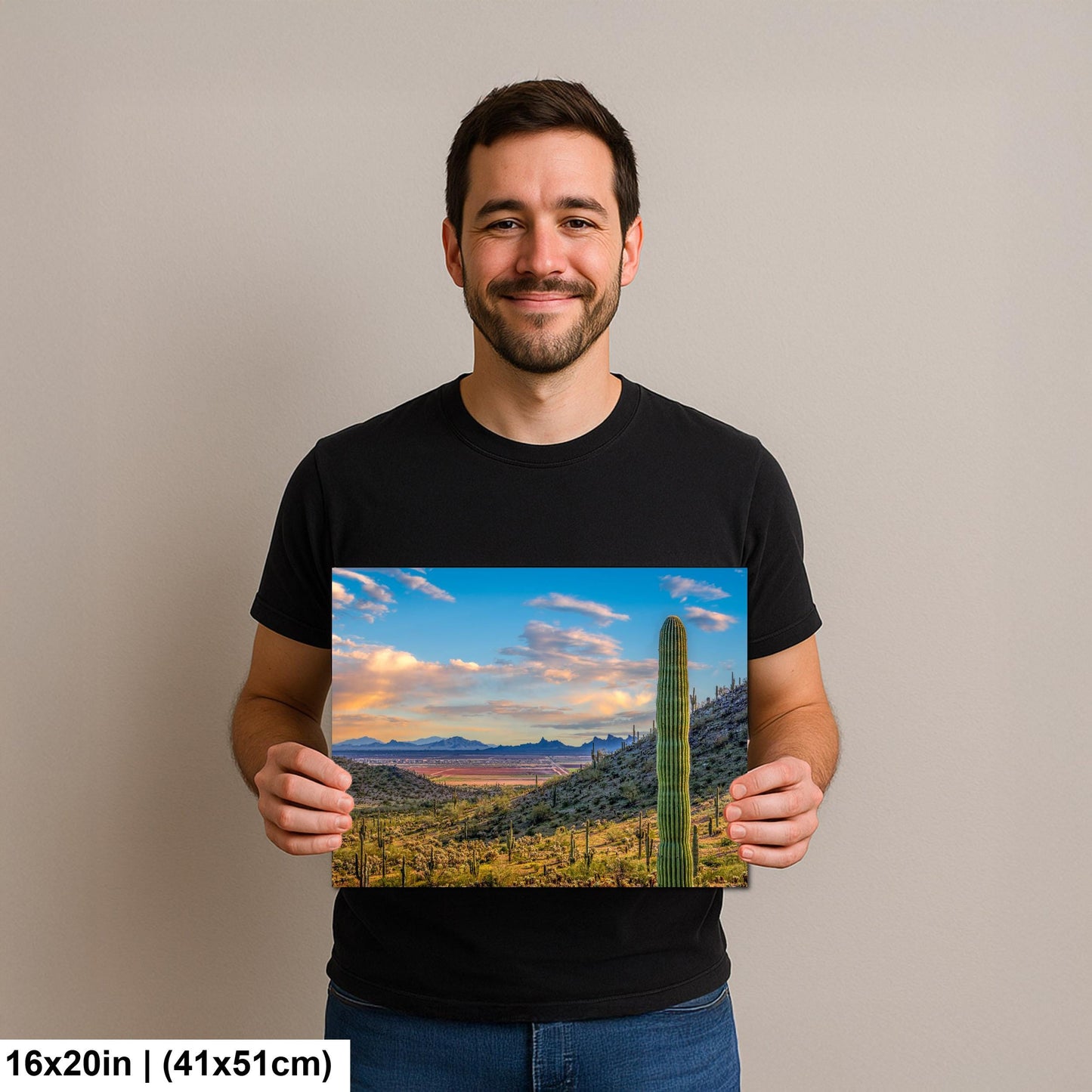 Desert Valley View with Saguaros, Casa Grande Arizona, Photography Wall Art