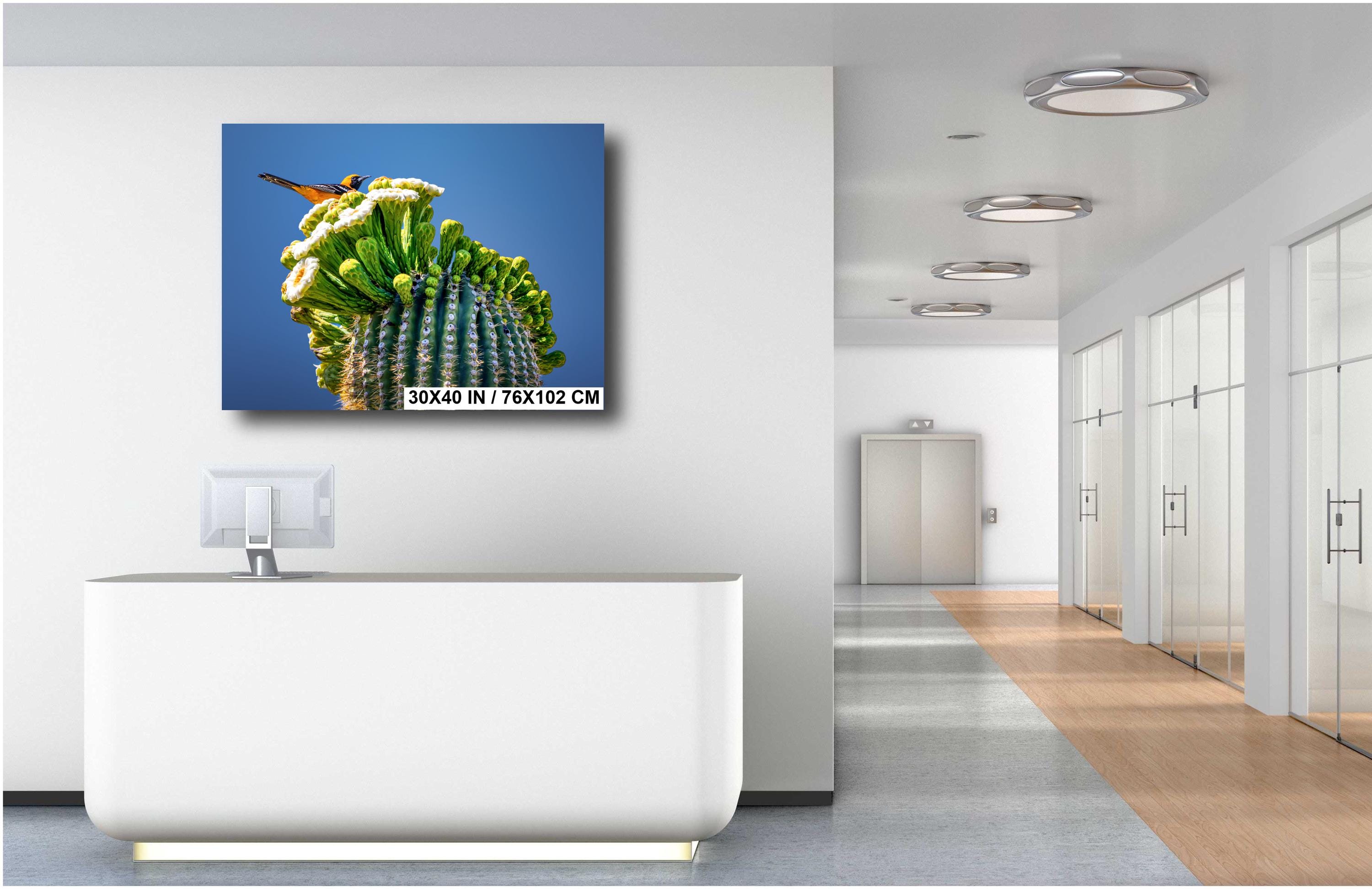 Arizona Desert Songbird: Hooded Oriole on Saguaro Cactus Flower Top Wall Art Print Aluminum/Acrylic/Metal/Canvas Bird Nature Photography