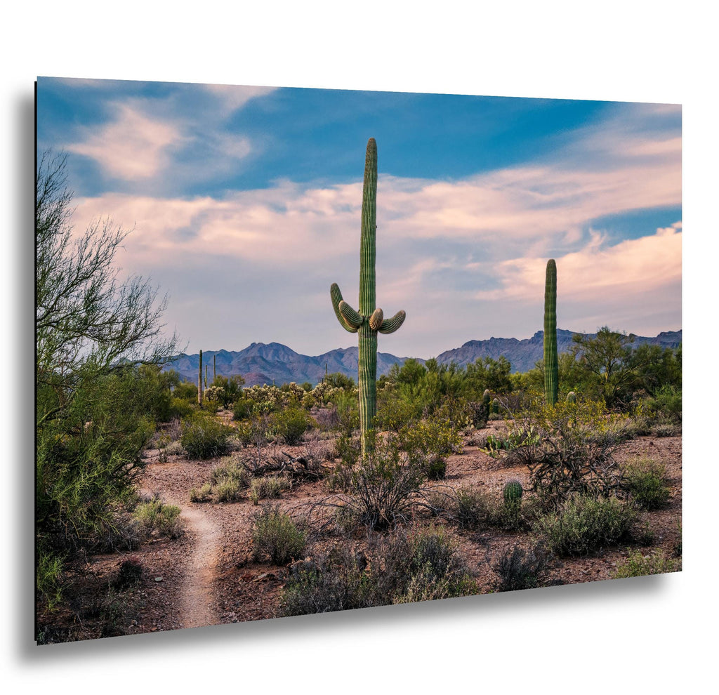 Pastel Sky Over Saguaro Cactus Trail Photography Print, Tucson Arizona Desert Landscape, Southwest Wall Art Decor
