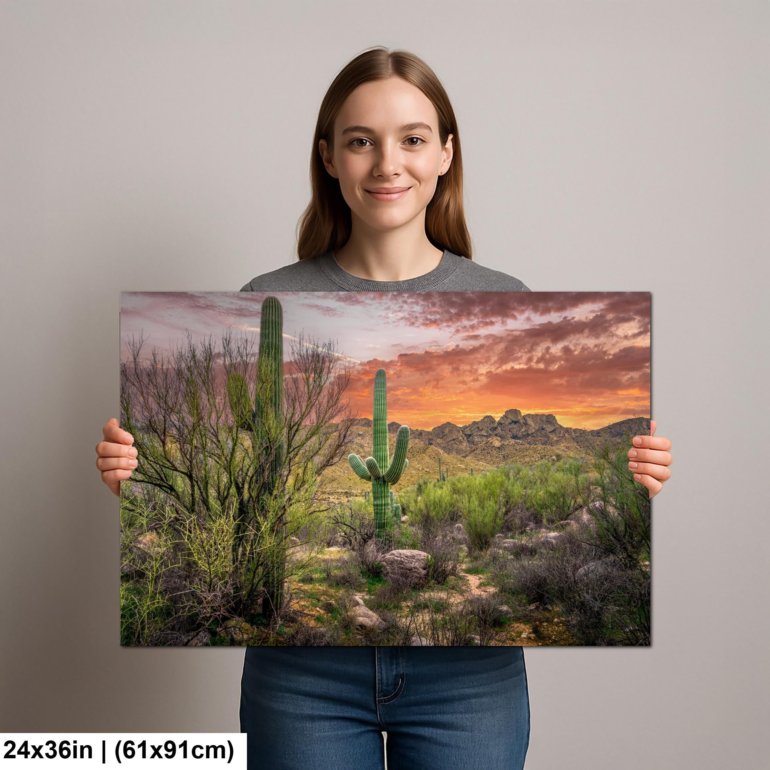Sonoran Desert Sunset with Saguaros - Catalina State Park Tucson Arizona Photography Print