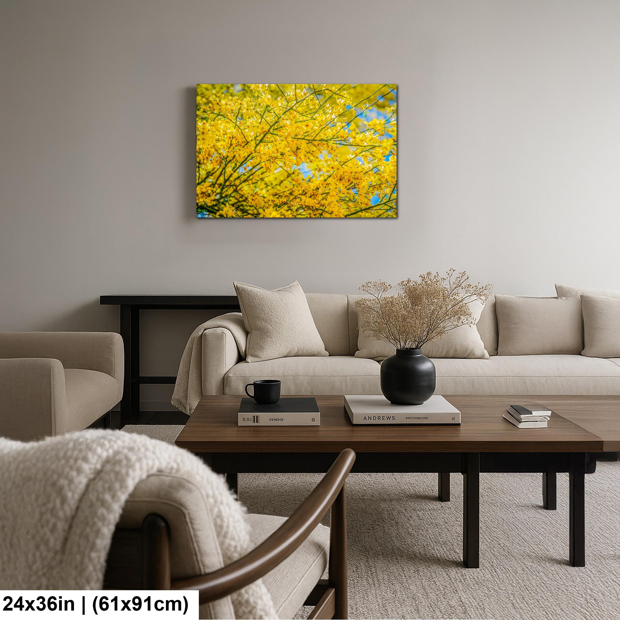 Palo Verde Spring Bloom Photography Print, Saguaro National Park Tucson Arizona, Yellow Desert Flowers Wall Art