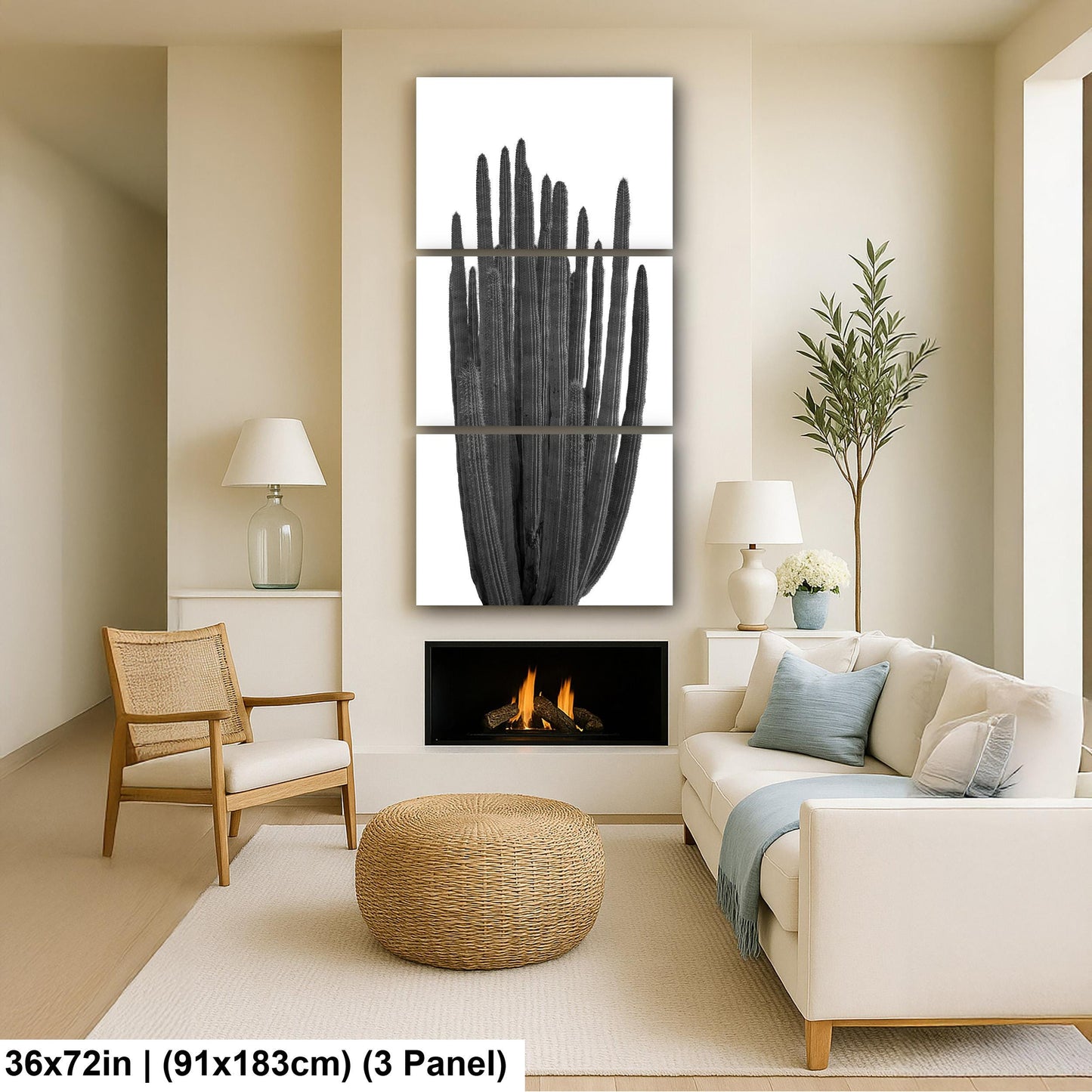 Organ Pipe Cactus Arizona National Monument Black and White Desert Nature Photography Wall Art