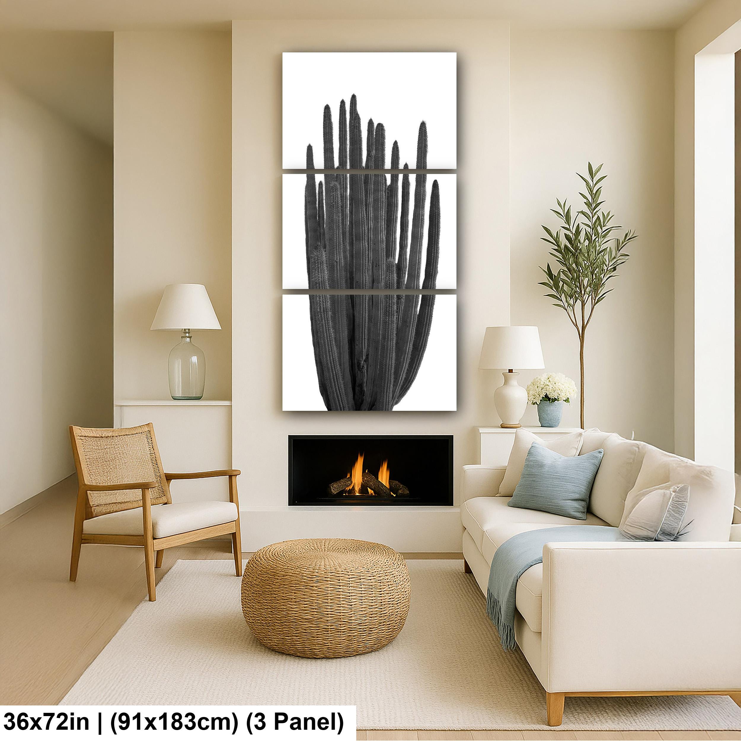 Organ Pipe Cactus Arizona National Monument Black and White Desert Nature Photography Wall Art